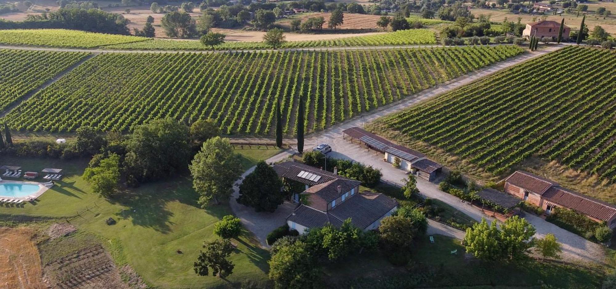 Fattoria Santa Vittoria Pozzo (Arezzo)