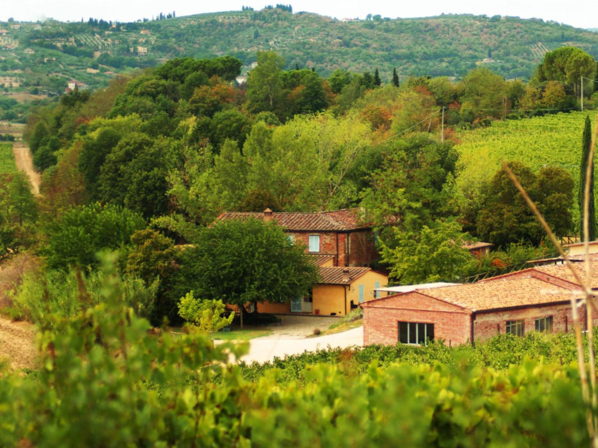 Bauernhof Fattoria Santa Vittoria Pozzo (Arezzo)