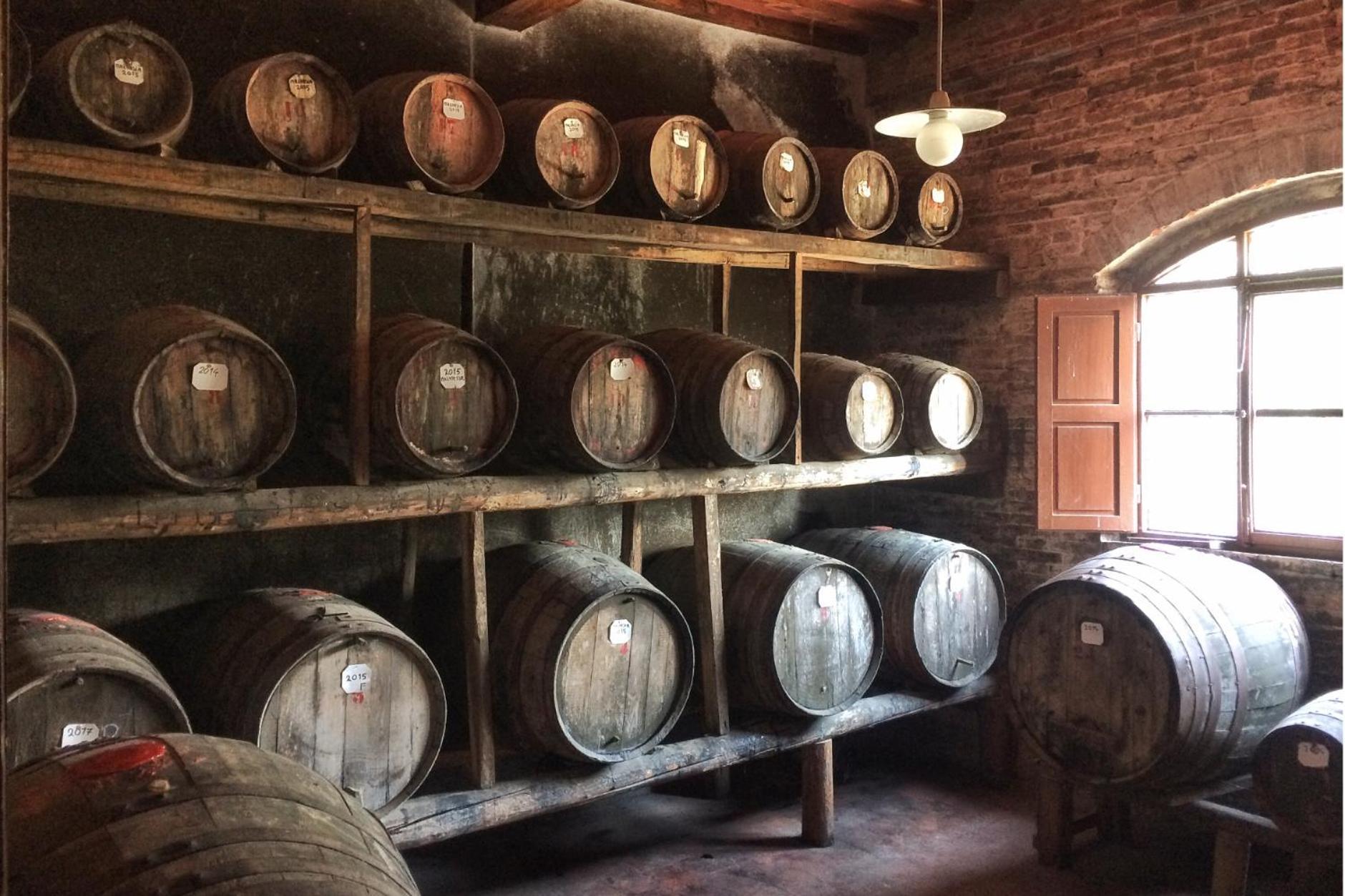 Fattoria Santa Vittoria Pozzo (Arezzo)